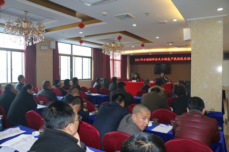 076_副本.jpg 076_副本.jpg